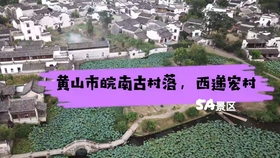 锌钢护 第209页