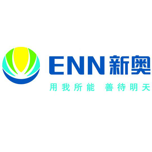 新奥精准精选免费提供,稳定性执行计划