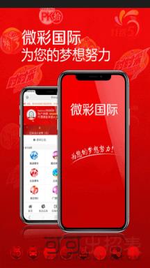 2025新澳门今晚开奖记录查询,全面数据解释定义_粉丝版62.941