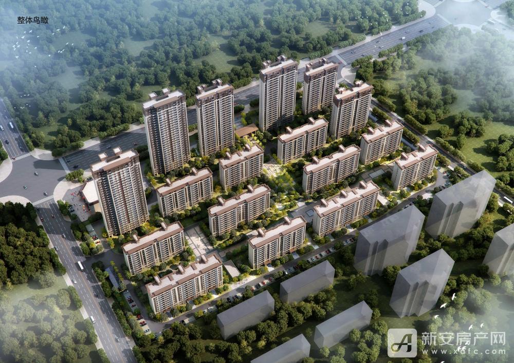 六安市最新楼盘，城市繁荣脉搏的跃动之地