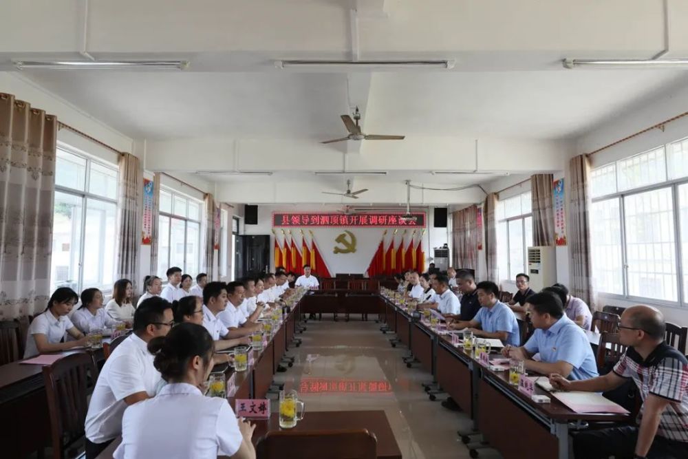 鲁阳镇最新领导概览，揭秘现任领导团队