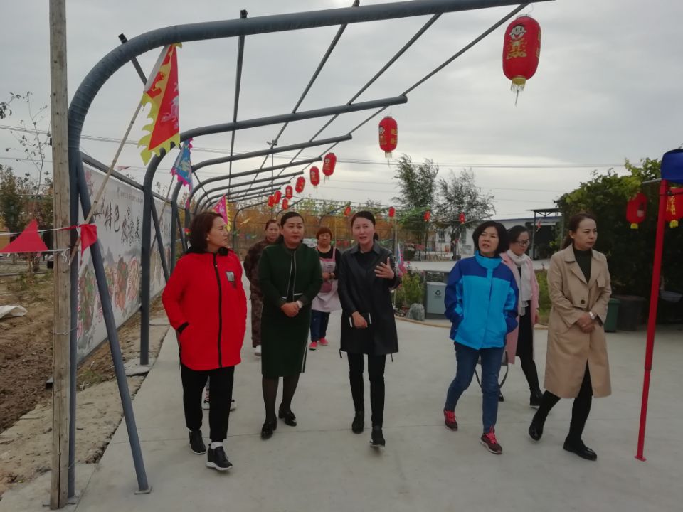 玛纳斯县计生委最新项目进展及其影响概述