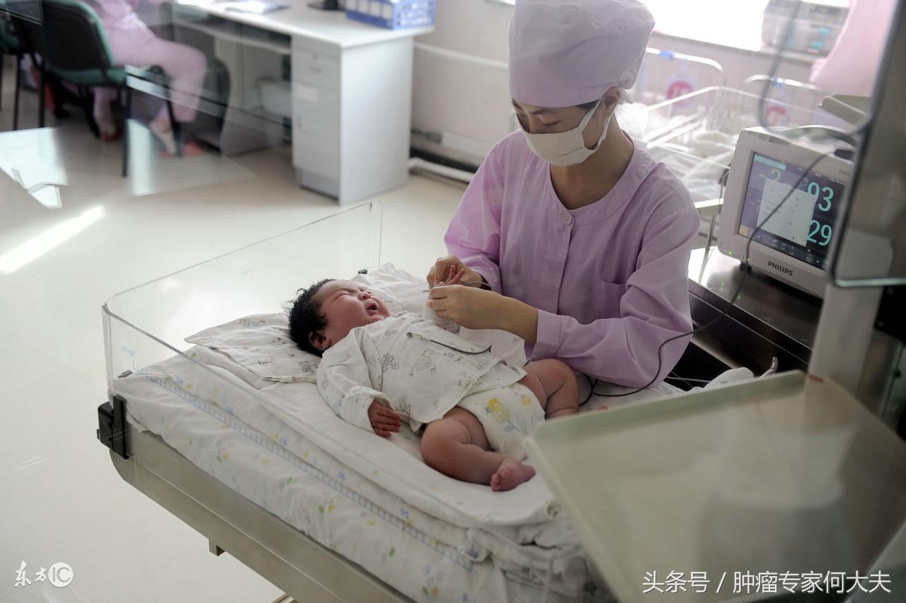 河北省二胎最新政策全面解读