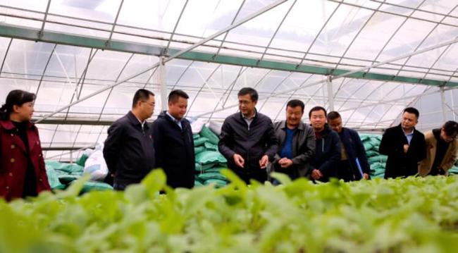 肇兴镇未来新面貌塑造，最新发展规划揭秘