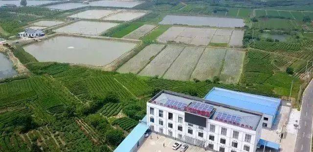 麻峡村委会最新项目启动，重塑乡村，迈向繁荣之路