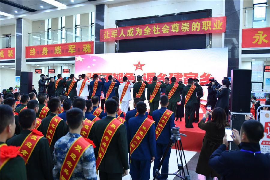 老兵回家最新动态，英雄归来，荣耀情感依旧浓厚
