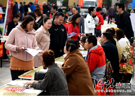 邢台市商务局最新招聘信息概览，探寻职位与机遇的门户