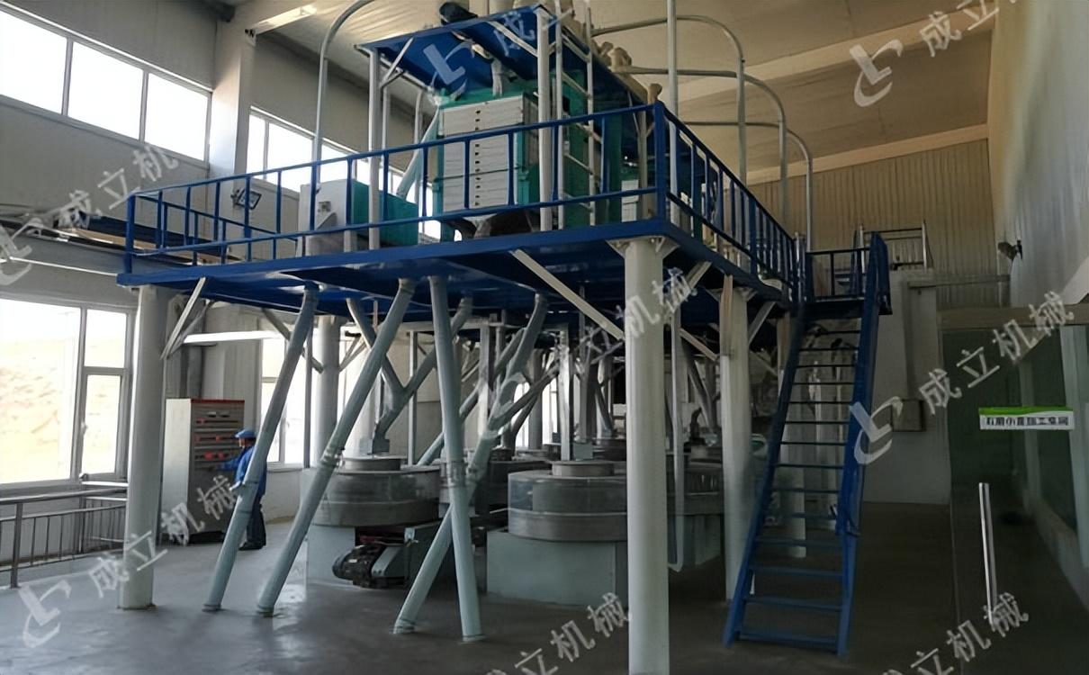 面粉最新报价及分析，影响因素深度解读