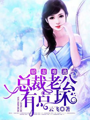 扬扬最新小说，探索未知的魅力