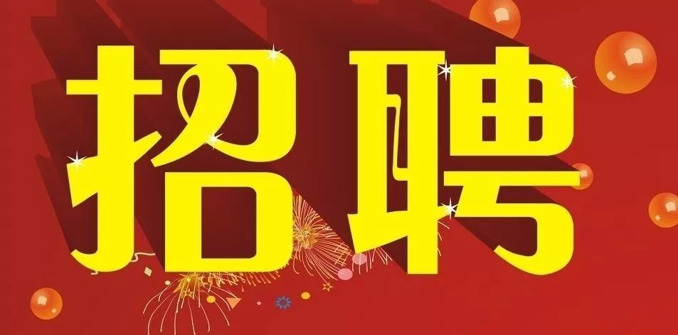 大宝村最新招聘信息概览，岗位空缺与申请指南