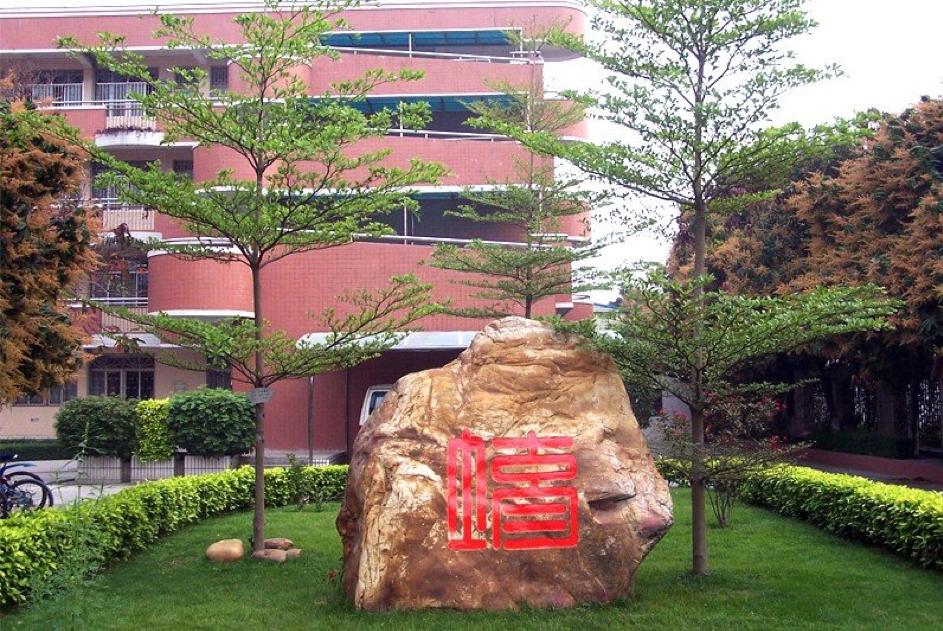 越秀区体育局人事大调整，重塑未来体育蓝图的新篇章
