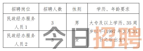 2025年3月8日 第31页