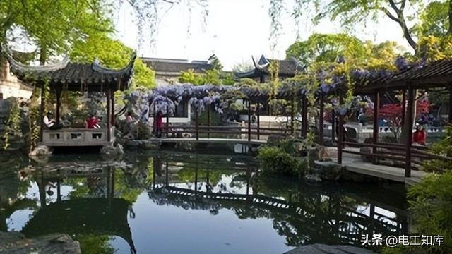 留园街道最新新闻及动态速递