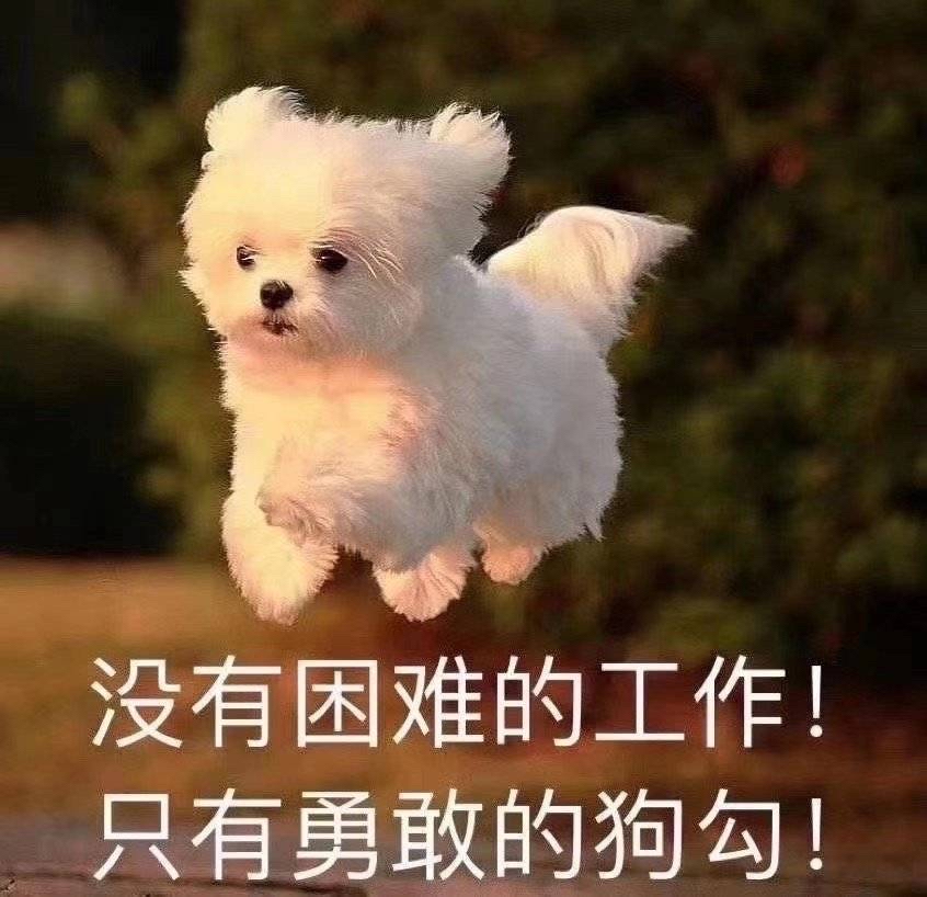 7777788888管家婆狗,安全设计解析方案_SP34.179