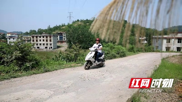 山乡最新新闻揭秘，乡村发展的新时代面纱