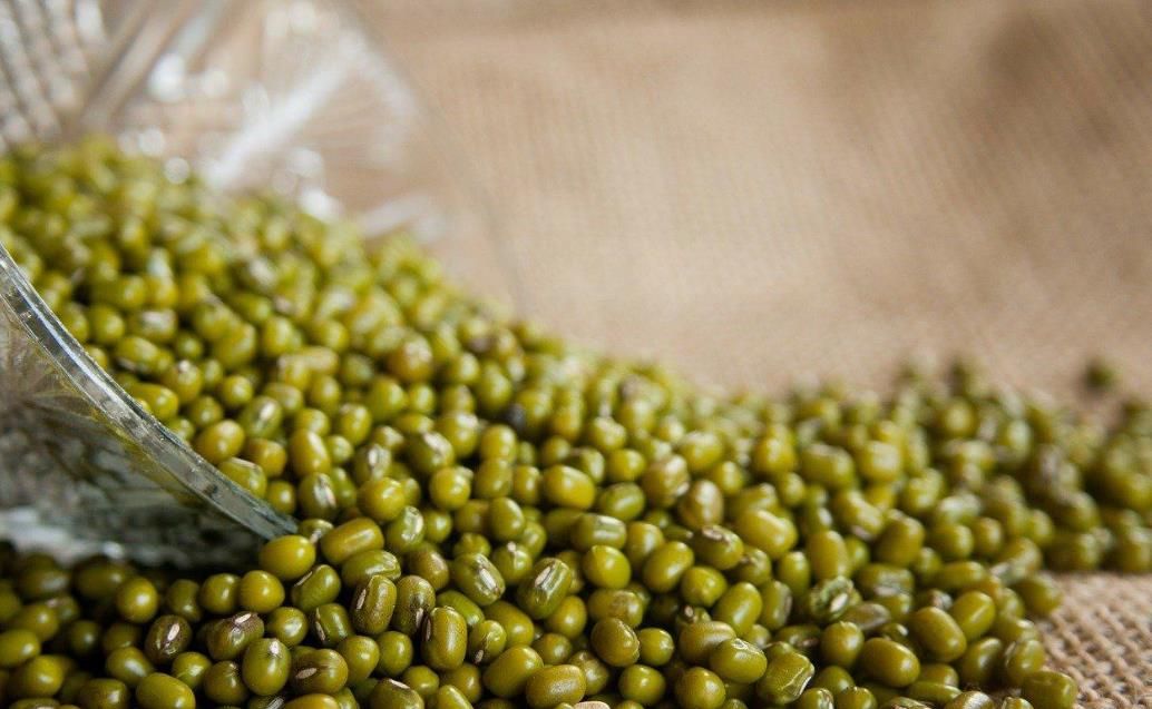 绿豆价格最新走势及分析