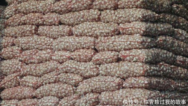 开封大蒜最新价格动态解析及行情分析