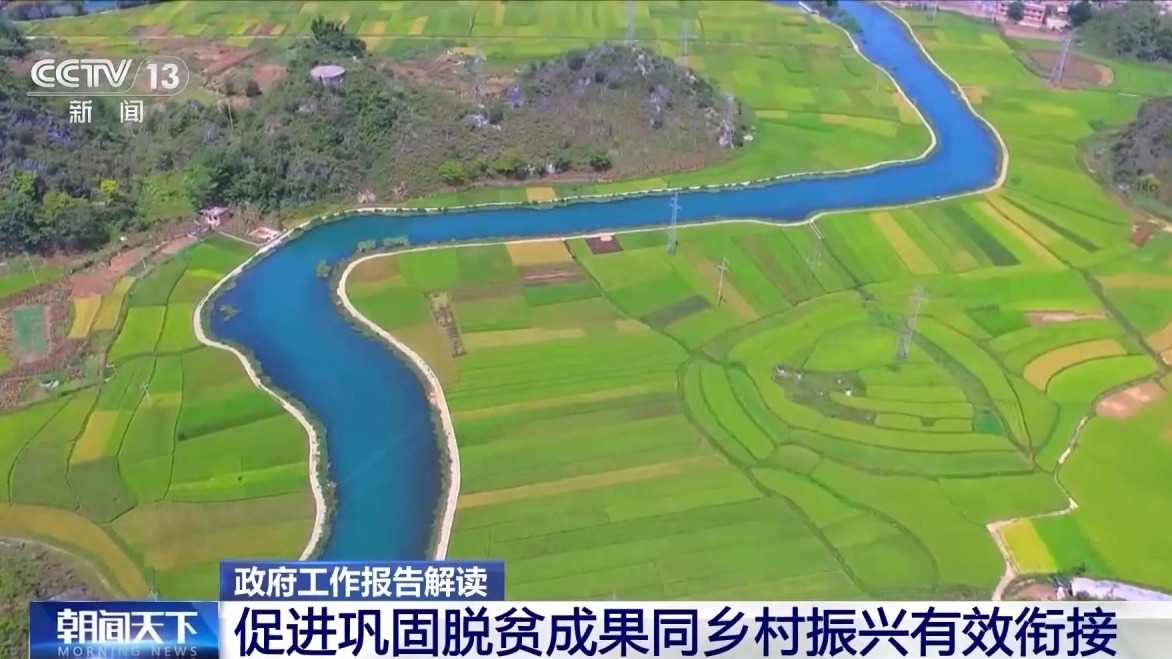 北仑区农业农村局最新发展规划揭秘，推动农业现代化，助力乡村振兴发展。