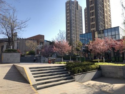 天跃